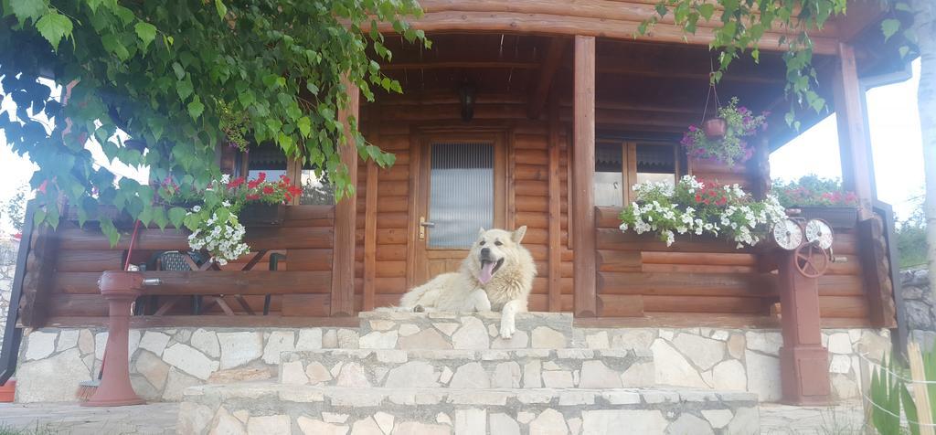 Holiday Home Zoric Nikšić エクステリア 写真